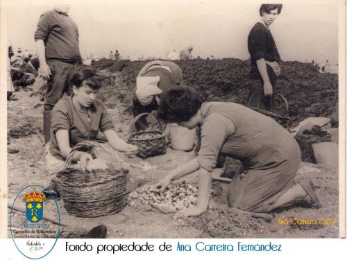 ANA-CARREIRA-020