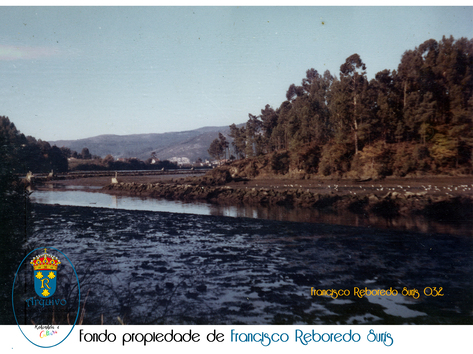FRANCISCO-REBOREDO-SURIS-032