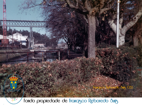 FRANCISCO-REBOREDO-SURIS-033