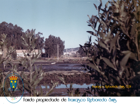 FRANCISCO-REBOREDO-SURIS-034