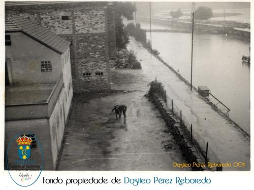DOSITEO-PEREZ-004