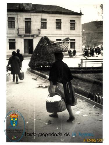 JA-XESTEIRA-020